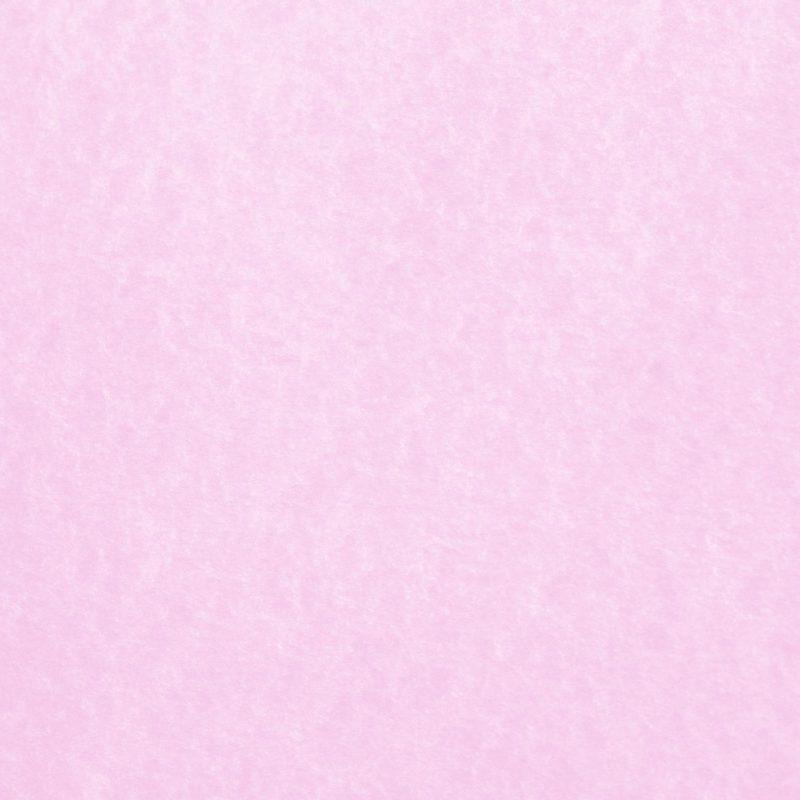 10 Most Popular Plain Light Pink Wallpaper FULL HD 1080p For PC Background 2023 free download light pink backgrounds wallpaper cave free wallpapers 800x800