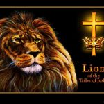 lion of judah wallpapers - wallpaper cave