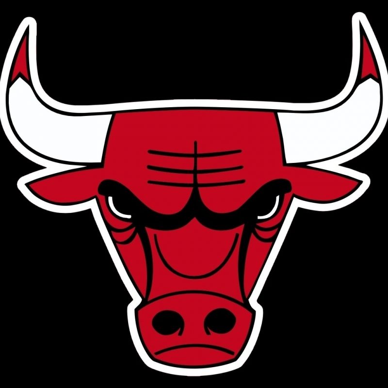 10 New Chicago Bulls Pictures Logo FULL HD 1080p For PC Background 2023 free download logo dojo chicago bulls speed youtube 800x800