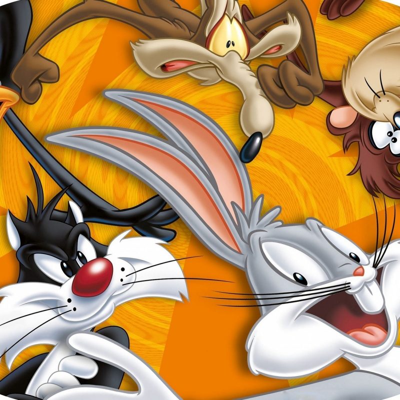 10 Latest Looney Tunes Wall Paper FULL HD 1920×1080 For PC Background 2022 free download looney tunes wallpaper cartoon wallpapers 41497 800x800