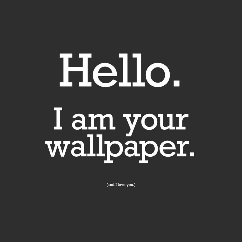 10 Best Funny Wallpapers For Computers FULL HD 1080p For PC Desktop 2022 free download memes for funny wallpapers with quotes desktop phone wallpaper 3 800x800