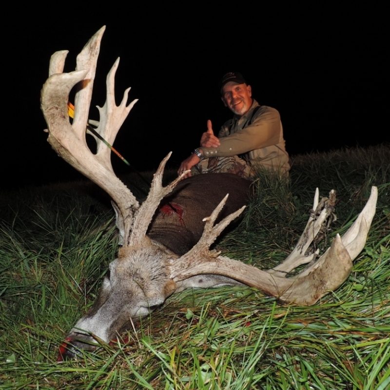 10 Most Popular Monster Whitetail Buck Pictures FULL HD 1080p For PC Desktop 2023 free download monster buck hunting in wisconsin fox valley web design llc 800x800