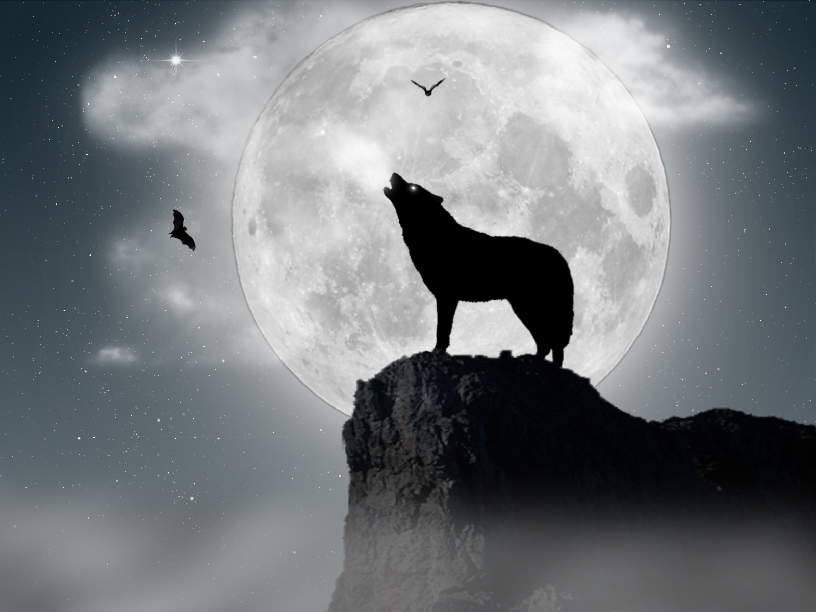 Вой волка на луну песня. Волк воет на луну. Волк и Луна. Воющий волк. Вооквоет на луну.
