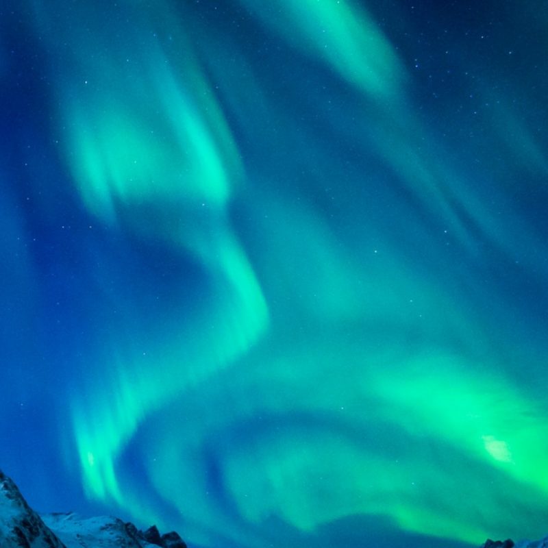 10 Top Northern Lights Iphone Wallpaper FULL HD 1080p For PC Background 2023 free download northern lights iphone wallpaper wallpapers pinterest northern 800x800