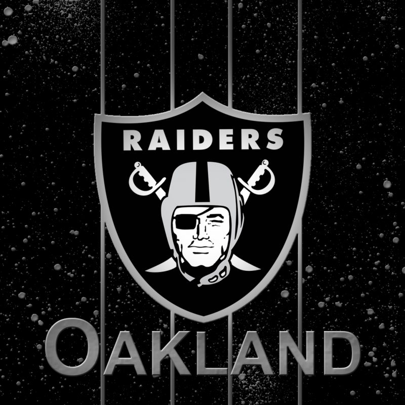 10 Top Oakland Raiders Logo Wallpaper FULL HD 1080p For PC Desktop 2022 free download oakland raiders logo wallpaper 1231589 800x800