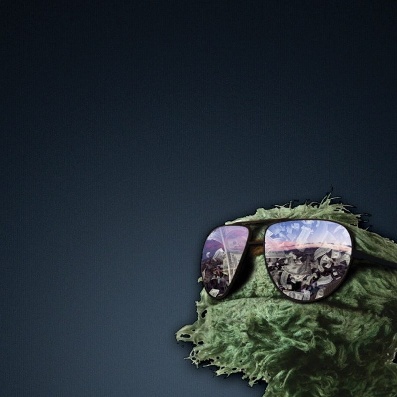 10 Latest Oscar The Grouch Background FULL HD 1080p For PC Background 2022 free download oscar the grouch different background iphonewallpapers 800x800