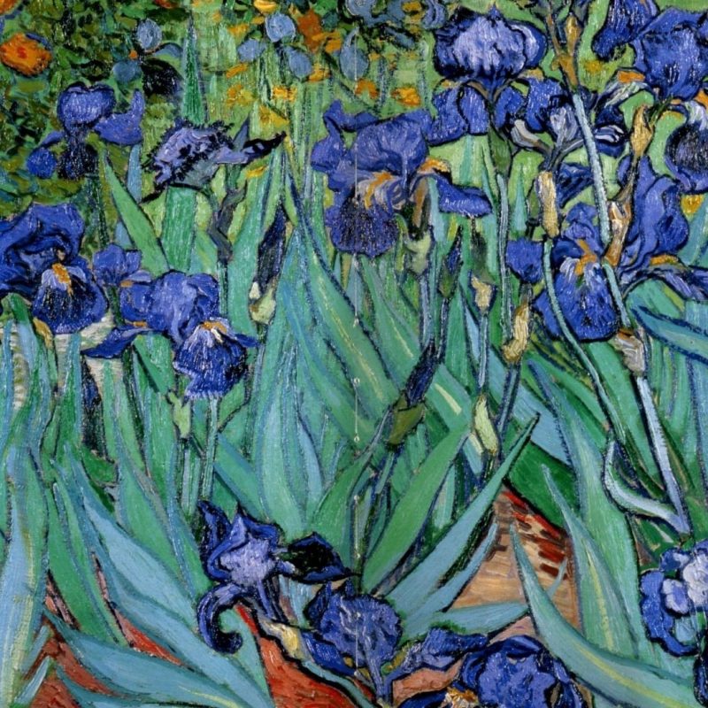 10 Best Van Gogh Wallpaper 1920X1080 FULL HD 1920×1080 For PC Background 2022 free download paintings vincent van gogh wallpaper 119809 800x800