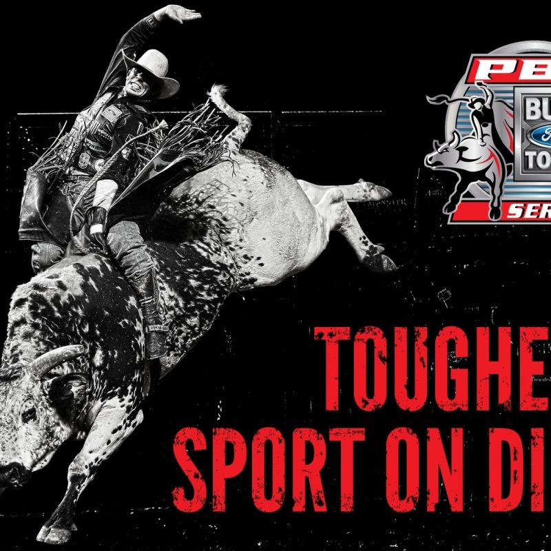 10 Top Professional Bull Riders Wallpaper FULL HD 1920×1080 For PC Background 2023 free download pbr built ford tough series vs pbr professional bull riders 800x800
