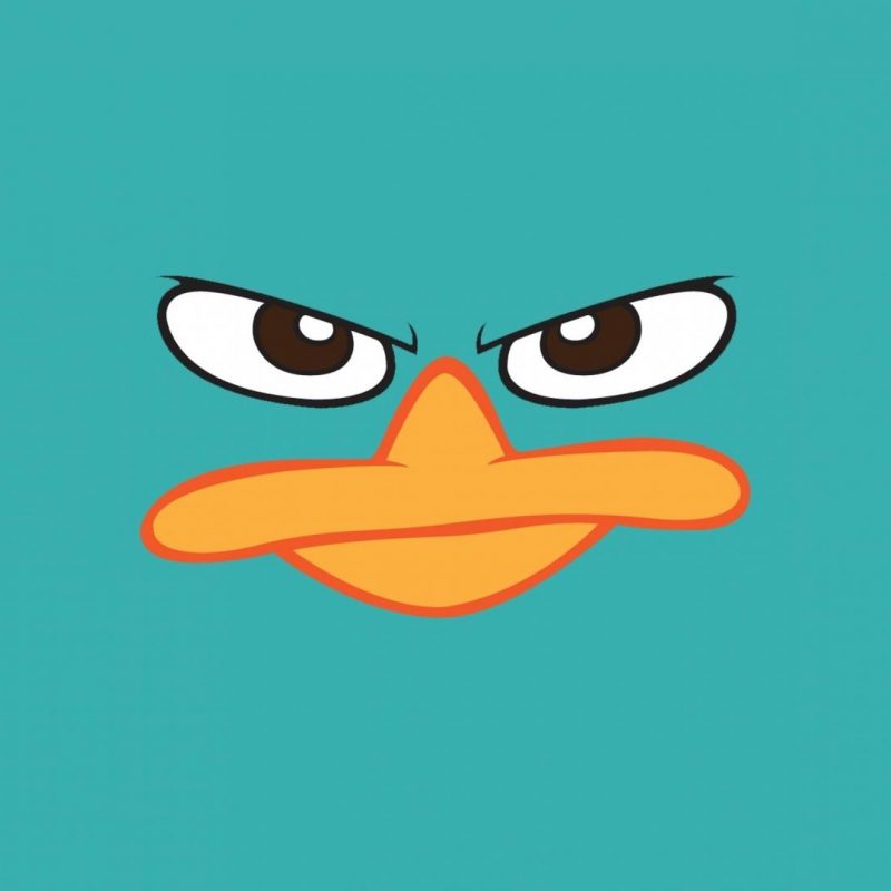 10 New Perry The Platypus Wallpaper FULL HD 1920×1080 For PC Background 2023 free download perry the platypus disney channel ferb phineas wallpaper 35956 800x800
