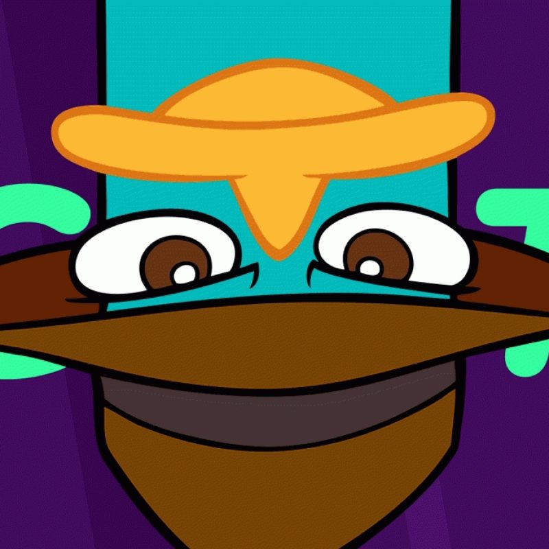 10 Latest Pictures Of Perry The Platypus FULL HD 1080p For PC Background 2023 free download perry the platypus disney lol 800x800