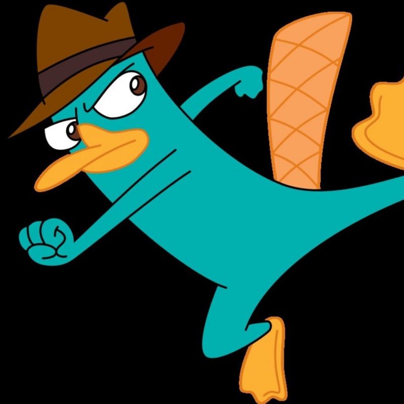 10 Latest Pictures Of Perry The Platypus FULL HD 1080p For PC Background 2023 free download %name