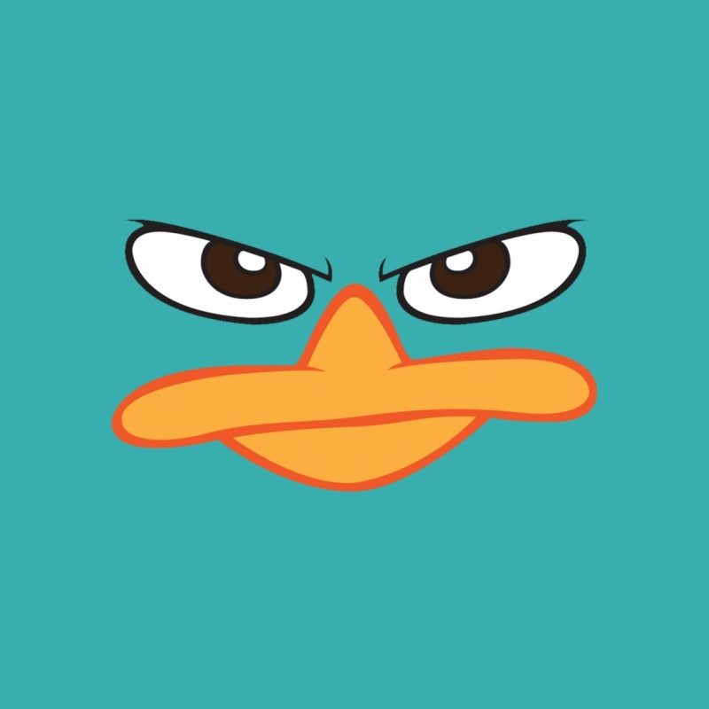 10 Latest Perry The Platypus Background FULL HD 1920×1080 For PC Background 2024 free download perry the platypus images perry wallpaper and background photos 800x800