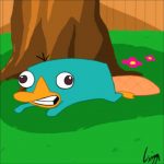 perry the platypus noise - youtube