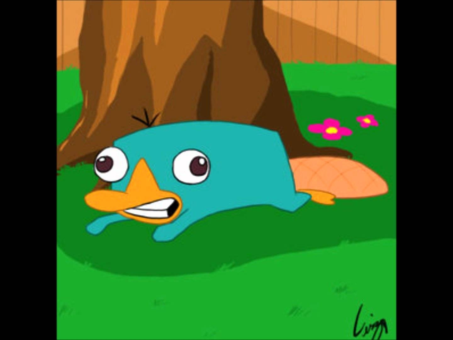 10 Latest Pictures Of Perry The Platypus FULL HD 1080p For PC Background