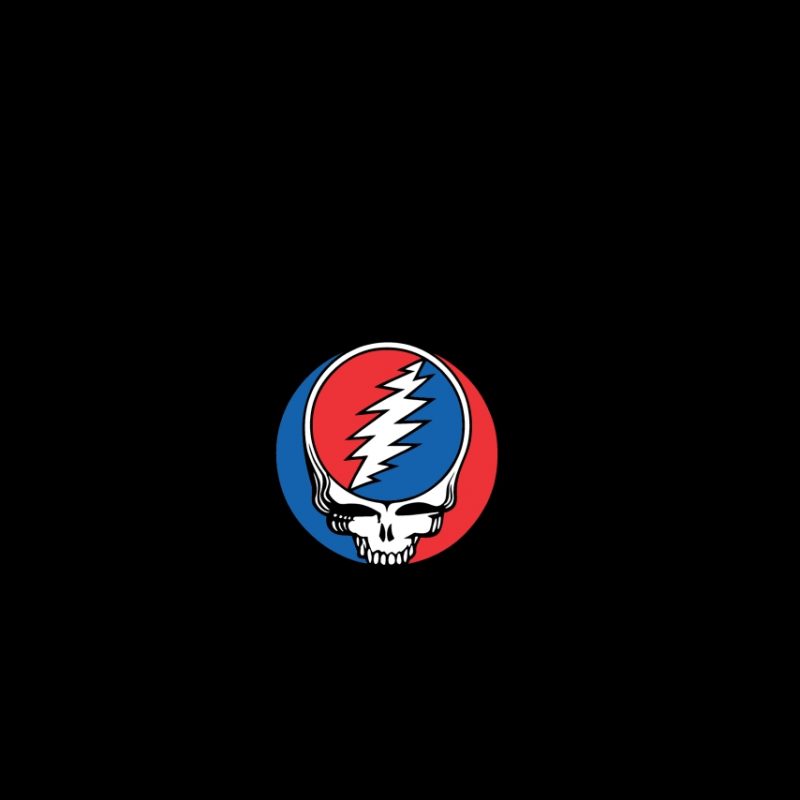 10 Most Popular Grateful Dead Wallpaper For Android FULL HD 1080p For PC Background 2022 free download photo grateful dead syf on black in the album music wallpapers 800x800