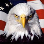picture fireworks &amp; us flag | pictures, wallpaper eagle and american
