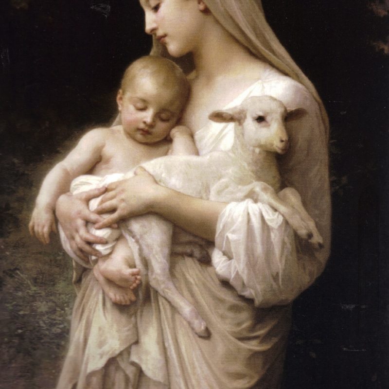 10 Best Pictures Of Mary And Baby Jesus FULL HD 1920×1080 For PC Desktop 2023 free download pictures of jesus virgin mary holding the baby jesus and a 800x800