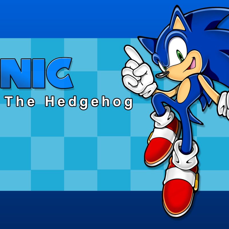 10 Latest Sonic The Hedgehog Desktop Background FULL HD 1080p For PC Background 2023 free download pinleia robinson on sonic the hedgehog pinterest hedgehogs 800x800