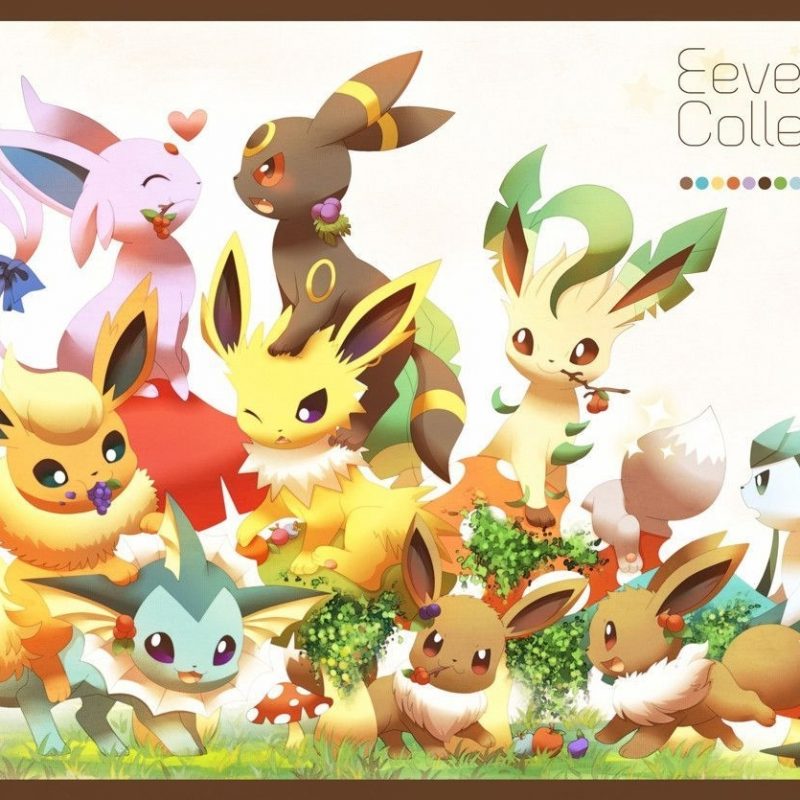 10 New Pokemon Eevee Evolutions Wallpaper FULL HD 1080p For PC Desktop 2023 free download pokemon cute eevee eevee evolutions wallpaper wallpaper panda 800x800