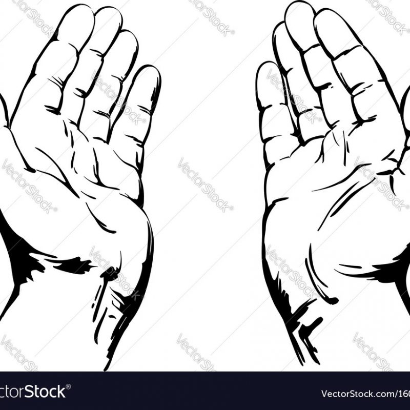 10 Most Popular Images Of Praying Hands FULL HD 1080p For PC Desktop 2023 free download praying hands royalty free vector image vectorstock 800x800