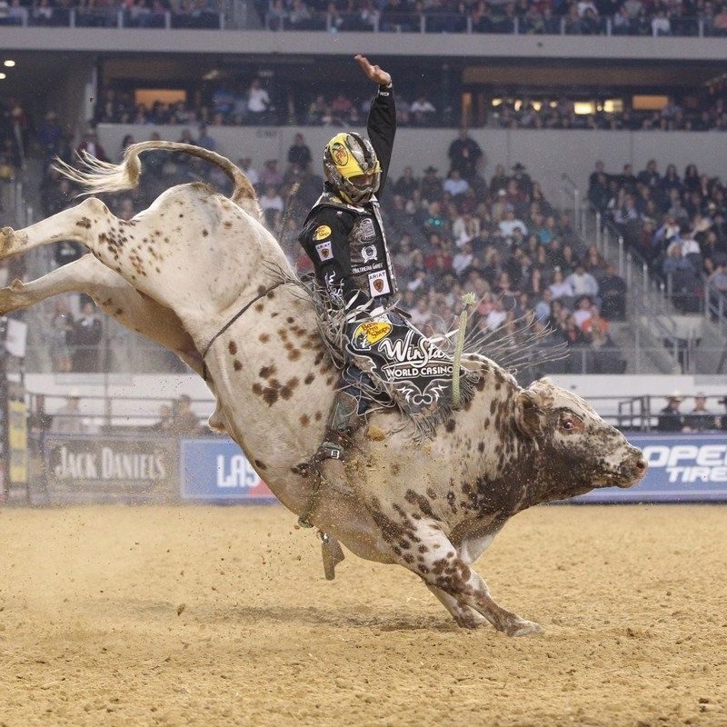 10 Top Professional Bull Riders Wallpaper FULL HD 1920×1080 For PC Background 2022 free download professional bull riders wallpapers wallpaper cave free 800x800