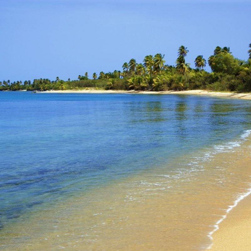 10 Latest Puerto Rico Beaches Wallpaper FULL HD 1920×1080 For PC Background 2023 free download puerto rico beach wallpaper high quality natures wallpapers 800x800