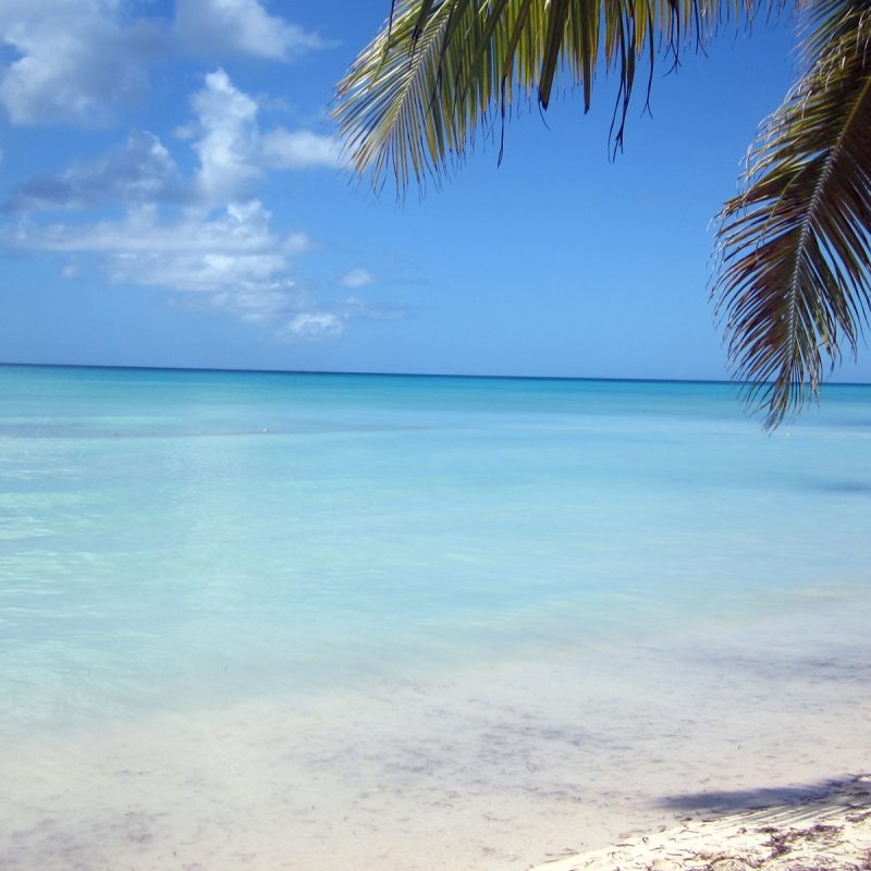 10 Top Dominican Republic Beaches Wallpaper FULL HD 1080p For PC Desktop 2022 free download punta cana dominican republic beaches wallpaper 815384 800x800