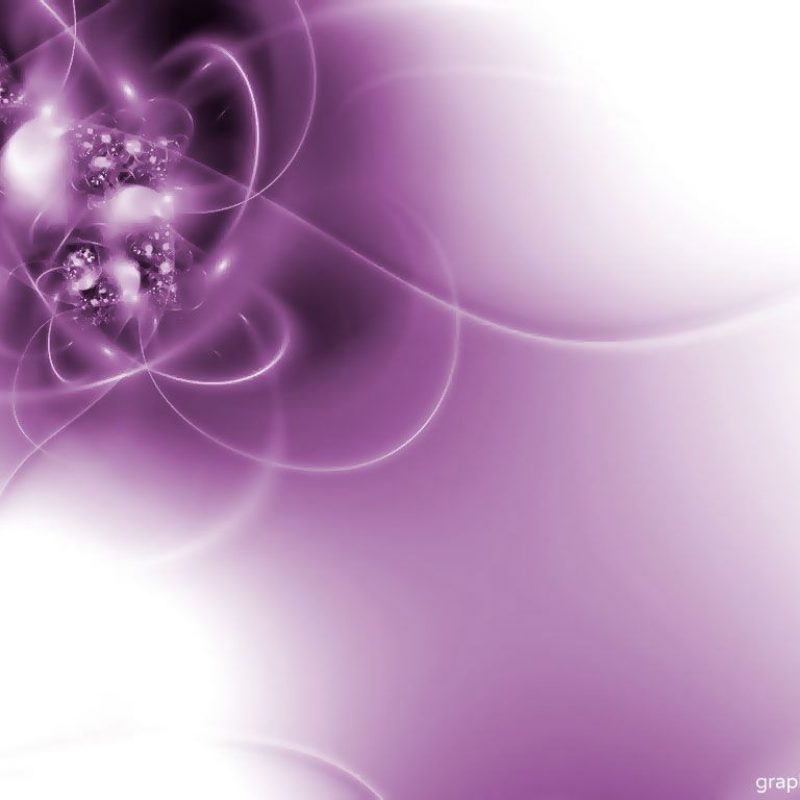 10 Top Cool Purple And White Backgrounds FULL HD 1920×1080 For PC Background 2023 free download purple and white purple white backgroundimage size 1024 x 768 1 800x800