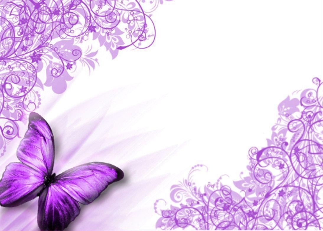 10 New Purple Butterfly Background Images FULL HD 1920×1080 For PC Desktop