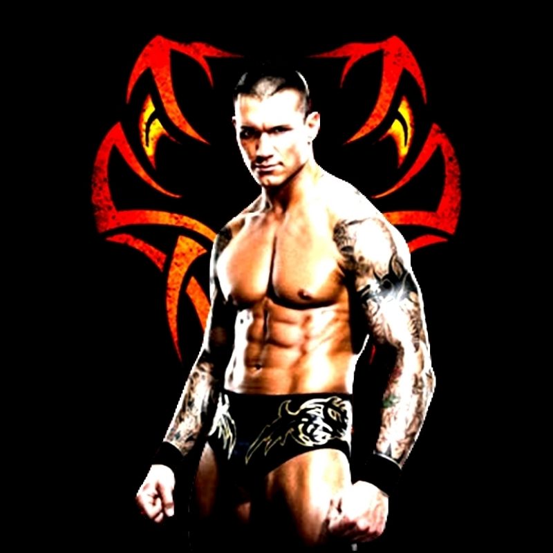 10 New Randy Orton Viper Logo FULL HD 1920×1080 For PC Background 2024 free download randy viper orton wallpaper enigmatic generation of wallpapers 800x800