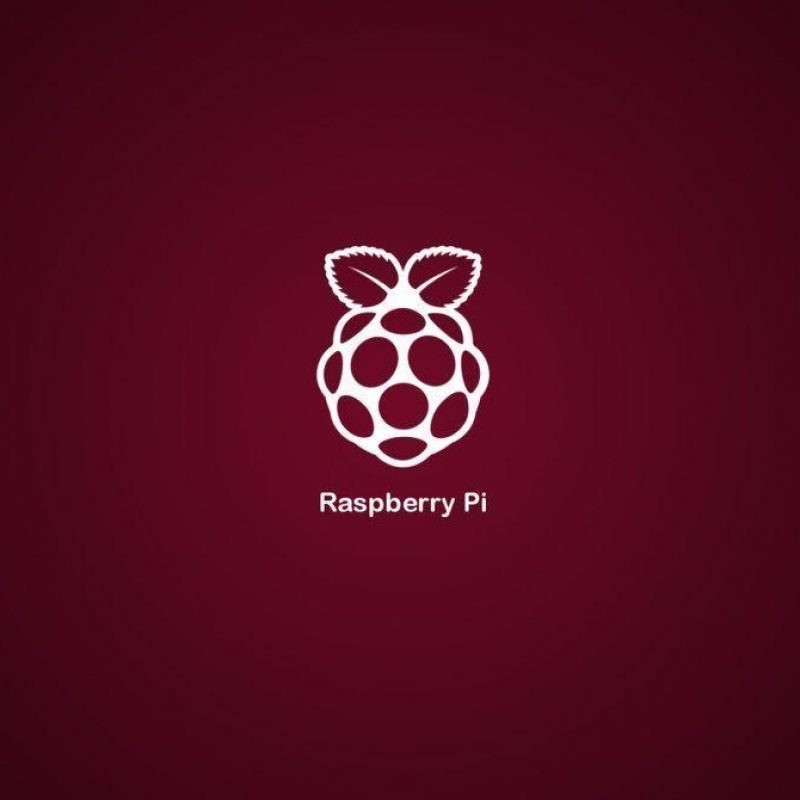 10 New Raspberry Pi Logo Wallpaper FULL HD 1920×1080 For PC Background 2022 free download raspberry pi wallpapers wallpaper cave 800x800