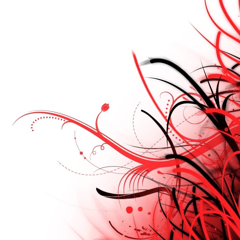 10 Most Popular Cool White And Red Background FULL HD 1080p For PC Desktop 2024 free download red and white abstract wallpaper wallpapers background 800x800