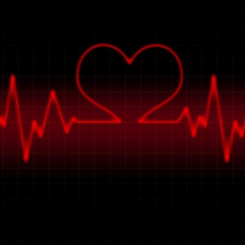 10 Most Popular Red Heart On Black Background FULL HD 1080p For PC Desktop 2022 free download red heart with black backgrounds wallpaper cave 4 800x800
