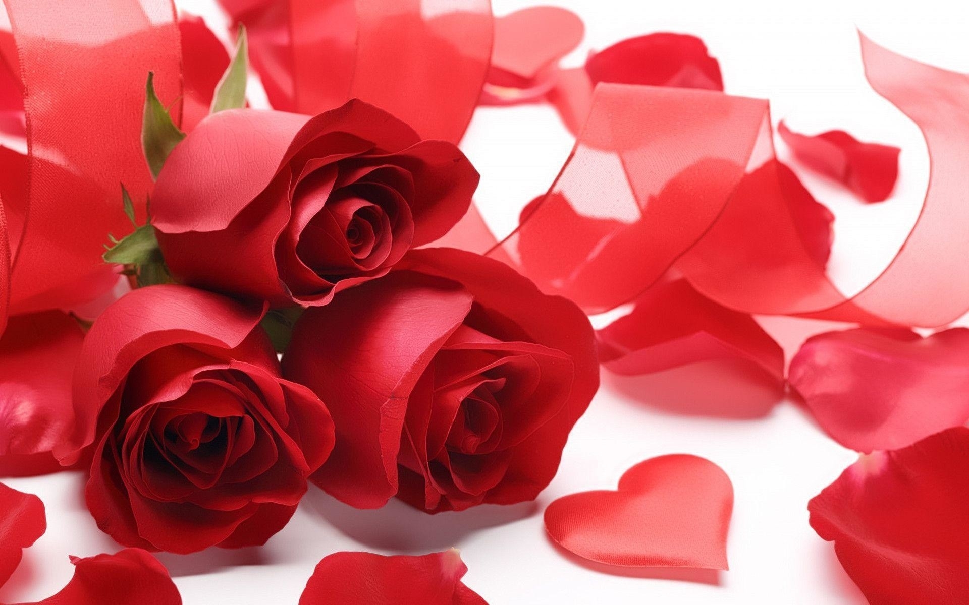 10 Top Roses And Hearts Wallpaper FULL HD 1920×1080 For PC Background