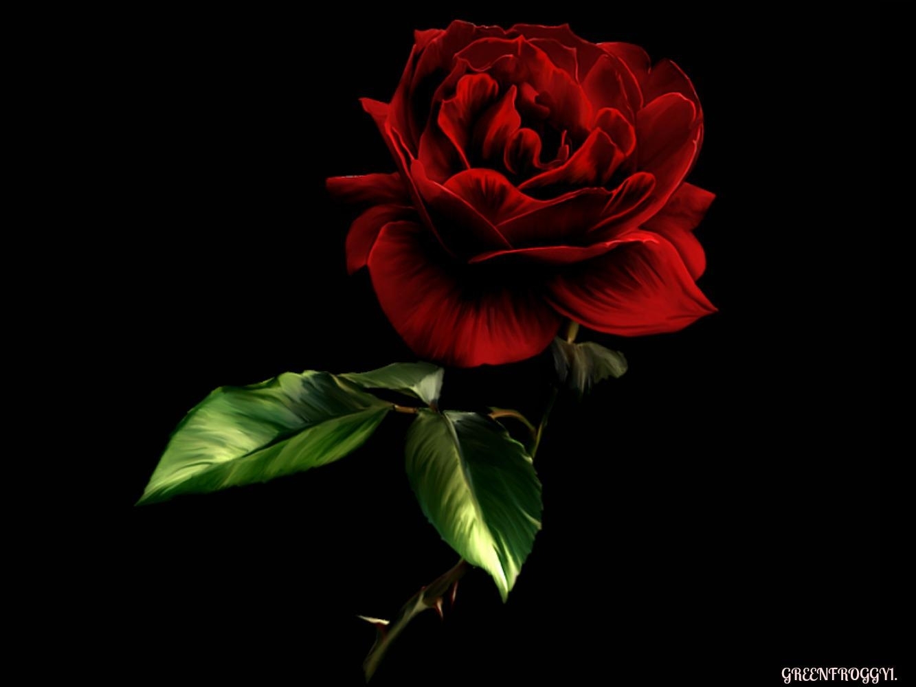 10 Best And Latest Red Roses With Black Background for Desktop Computer wit...