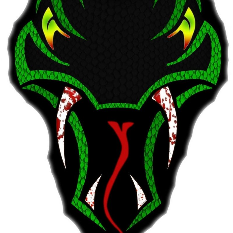 10 New Randy Orton Viper Logo FULL HD 1920×1080 For PC Background 2024 free download rko randy orton21giants on deviantart 800x800