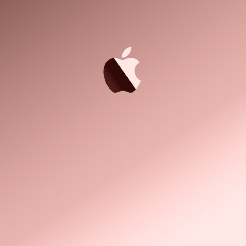10 Best Iphone Rose Gold Wallpaper FULL HD 1080p For PC Desktop 2023 free download rose gold wallpapers wallpaper cave 800x800
