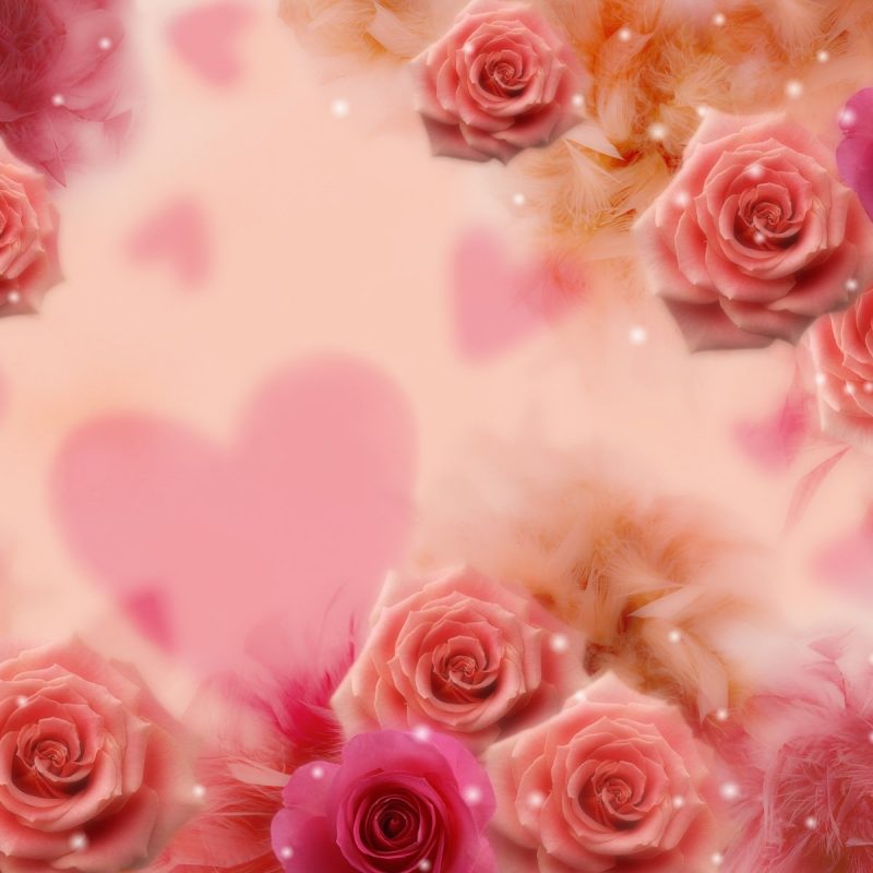 10 Top Roses And Hearts Wallpaper FULL HD 1920×1080 For PC Background 2023 free download roses and hearts hd wallpaper 800x800