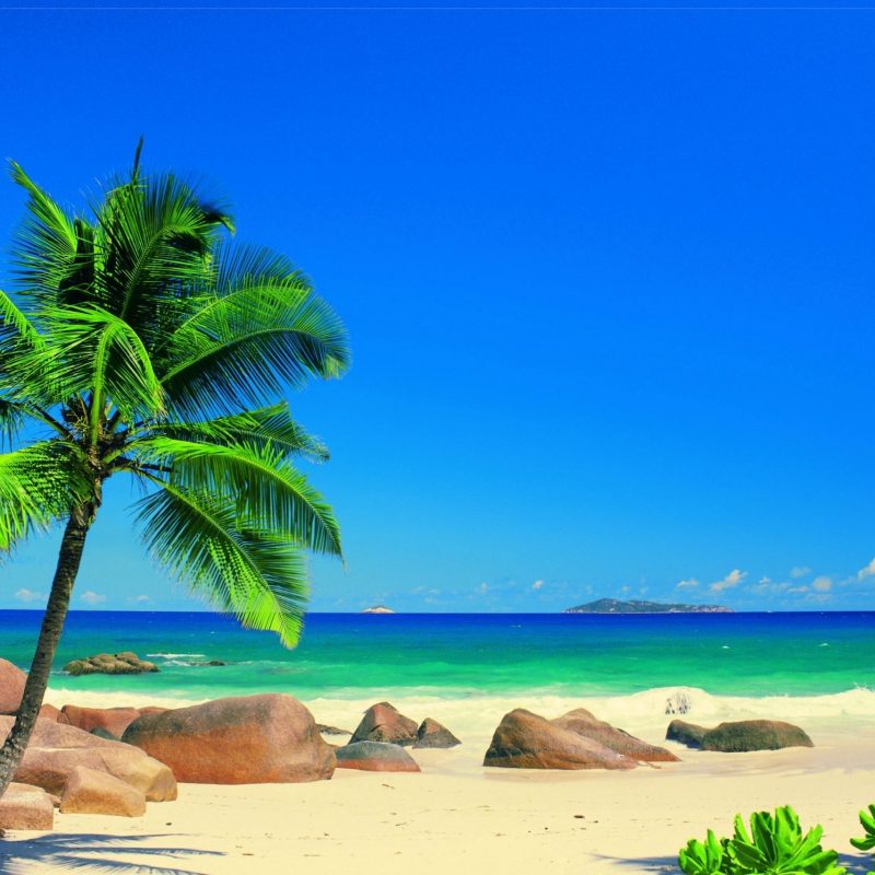 10 New Caribbean Beach Pictures Wallpaper FULL HD 1080p For PC Background 2023 free download saturday 05th september 2015 01pm awesome caribbean beach image 800x800