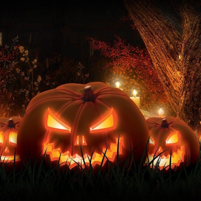 10 Most Popular Hd Halloween Wallpapers 1080P FULL HD 1920×1080 For PC Background 2024 free download scary halloween wallpapers hd wallpaper cave 800x800