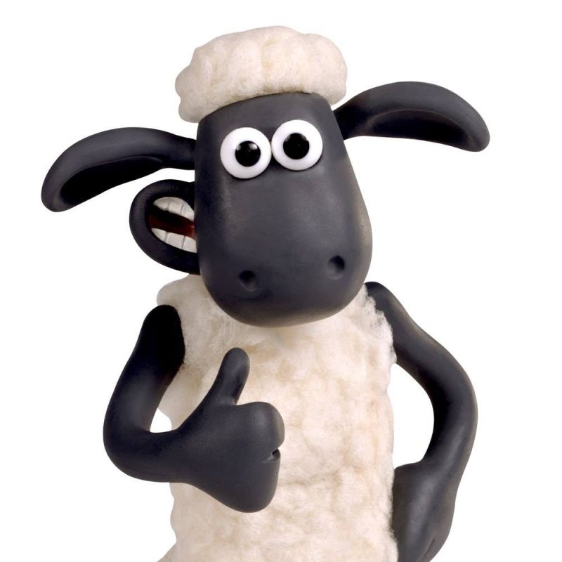 10 New Shaun The Sheep Images FULL HD 1920×1080 For PC Desktop 2024 free download shaun the sheep 800x800