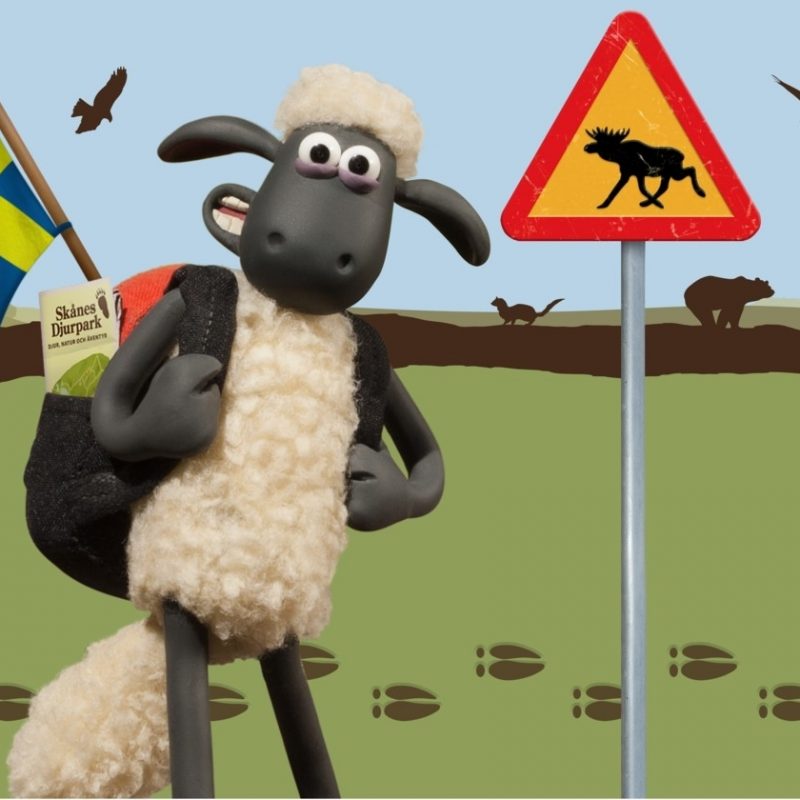 10 New Shaun The Sheep Images FULL HD 1920×1080 For PC Desktop 2024 free download shaun the sheep land comes to sweden shaun the sheep 800x800