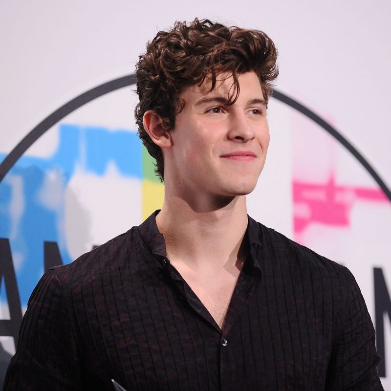 10 Best Pictures Of Shawn Mendes FULL HD 1920×1080 For PC Background 2022 free download shawn mendes got a bird tattoo on his hand teen vogue 800x800