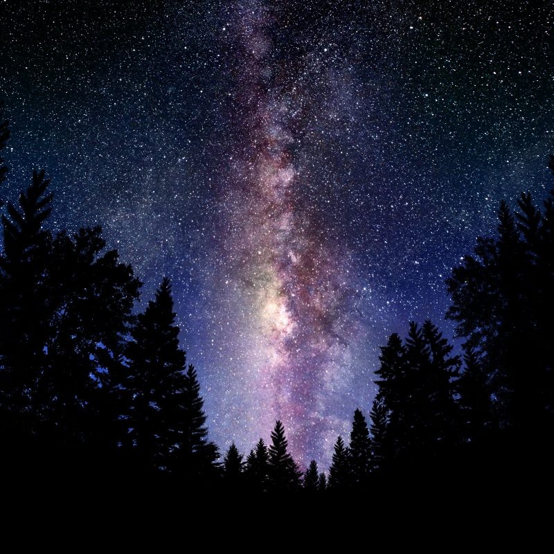 10 Best Milky Way Galaxy Background FULL HD 1920×1080 For PC Desktop 2024 free download sky milky way galaxy sky nature forests clear stars night images 800x800
