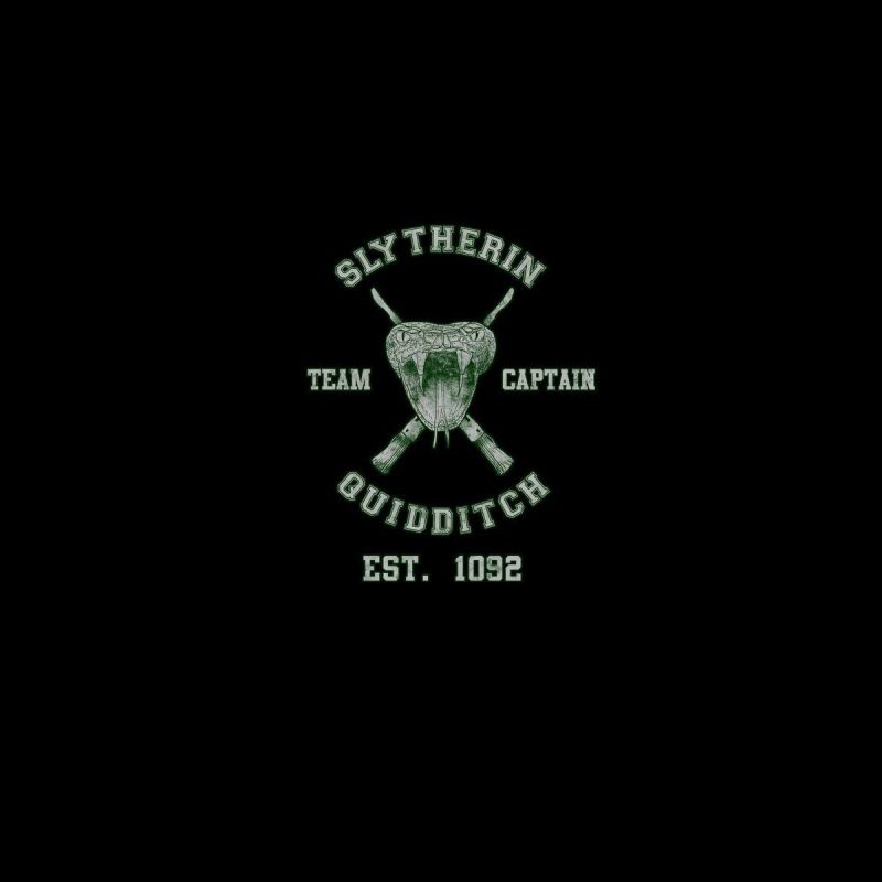 10 Best Harry Potter Slytherin Background FULL HD 1920×1080 For PC Desktop 2023 free download slytherin quidditch team harry potter walldevil 800x800