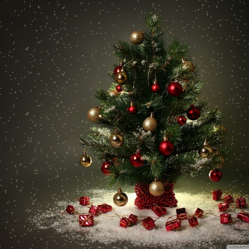 10 Most Popular 3D Christmas Wallpaper Hd FULL HD 1080p For PC Background 2024 free download small christmas tree e29da4 4k hd desktop wallpaper for 4k ultra hd tv 1 800x800