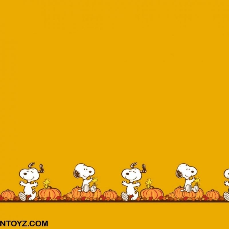 10 Latest Peanuts Halloween Desktop Wallpaper FULL HD 1920×1080 For PC Background 2024 free download snoopy wallpapers picture desktop wallpaper box 800x800