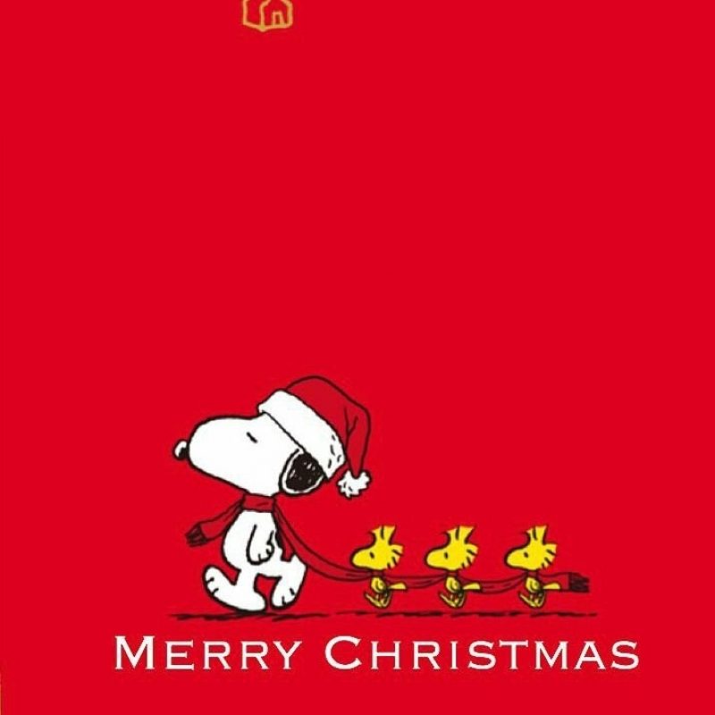10 New Snoopy Merry Christmas Images FULL HD 1080p For PC Background 2023 free download snoopys merry christmas 2 christmas cards printables pinterest 800x800