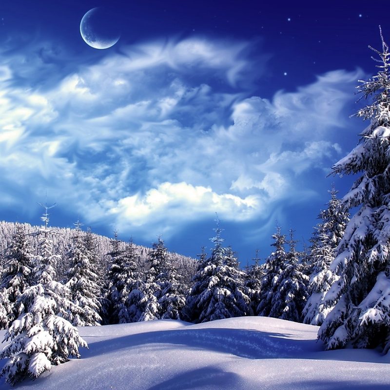 10 Latest Photos Of Snow Scenes FULL HD 1920×1080 For PC Background 2022 free download snowy winter scenes wallpaper snowy wonderland mountain scene 800x800