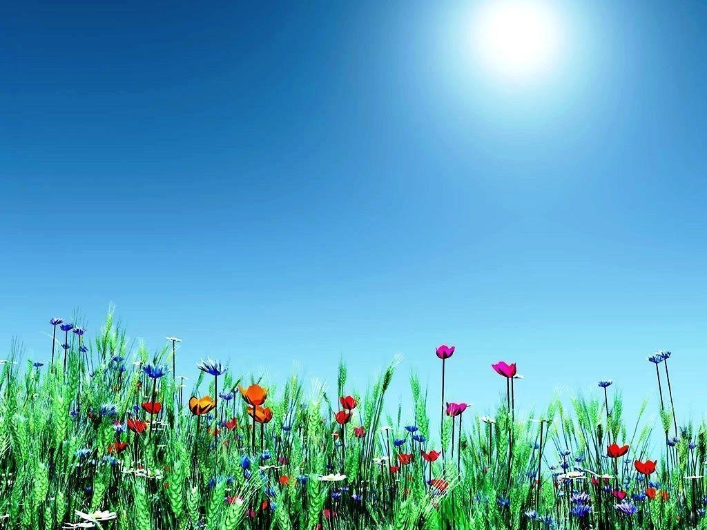10 Best Free Spring Background Images FULL HD 1080p For PC Desktop